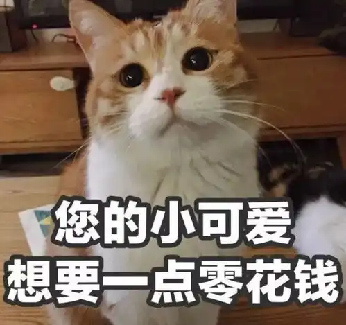 双十一钜惠提前开抢镇江市全民健身中心十一月会卡活动劲爆来袭
