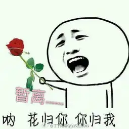 歌在飞
