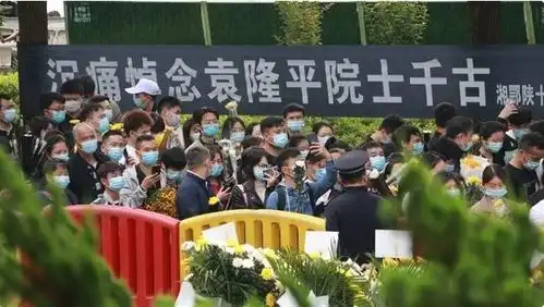 苏提达海报换风格,绿色时装裙被黄色稻穗包围,悼念袁隆平有新意
