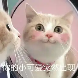 突然冒出突然出现表情包
