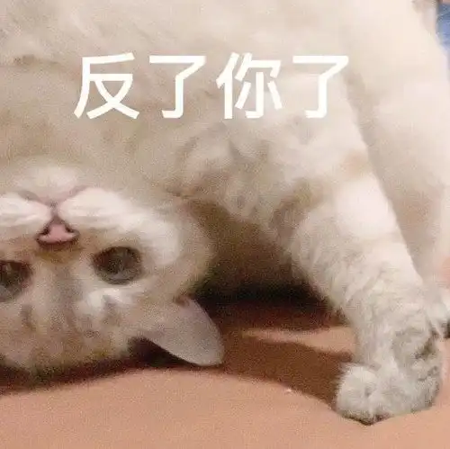 一组可爱的猫猫表情包,发给你家臭居居
