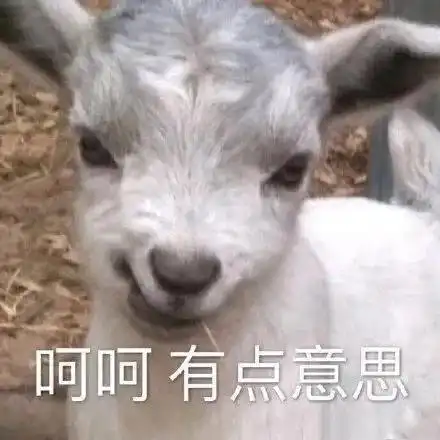 可爱的猫猫表情包情侣聊天必备
