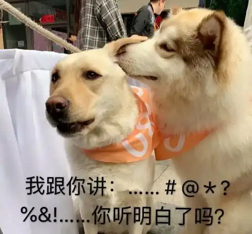 发现狗子有什么小秘密偷偷把屎涂满了整个澡盆算吗