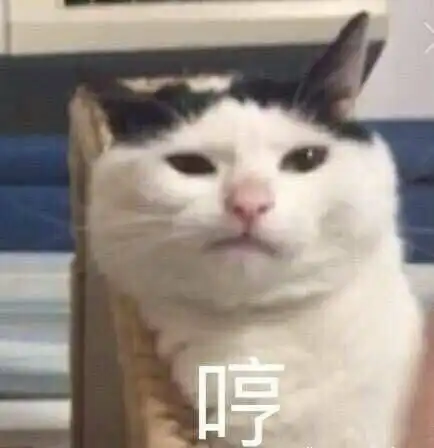 评论留下一句你一直不敢对别人说的话吧
