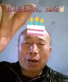 2018年最火表情包竟然是它林更新都爱不释手
