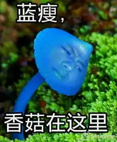 这个男生又把广西普通话带火啦哈哈哈哈