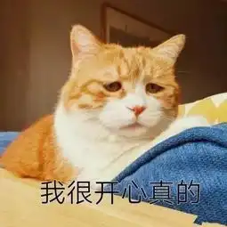 一大波蛇精猫表情包来袭,要斗图的拿走不谢无线频道
