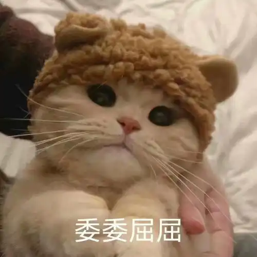 发给对象的表情包我就是个受气包呗
