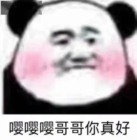 熊猫头表情包i你难道就没有一点羞耻之心吗
