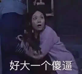证件照般的凝视
