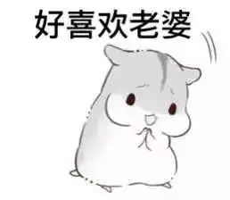 哄老婆专用hamham仓鼠微信表情包下载哄老婆专用hamham仓鼠微信表情包...
