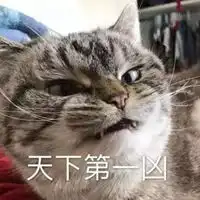 凶狠表情包
