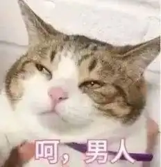 我和男票的最后一句话拜拜了,大兄弟
