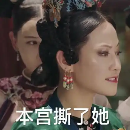 延禧攻略表情包逗比搞怪表情包

