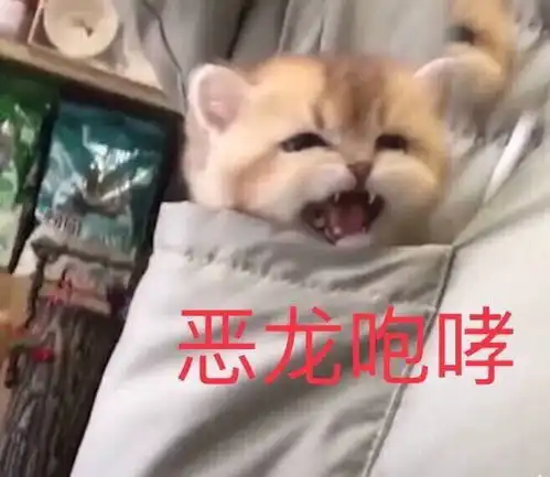 如果勒索属实,陈小三不值得同情
