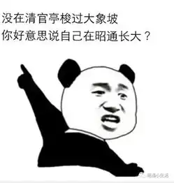 气用了那么多年的表情包,竟没有昭通人的那种
