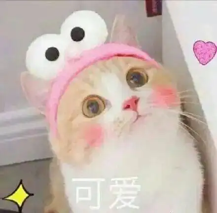 今晚24时截止
