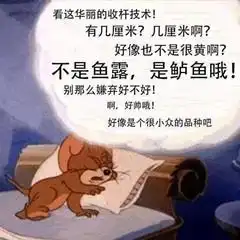 全世界就我一个人没有动森动物之森表情包
