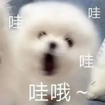 他们来村里整活,阳东丹载村有了专属logo

