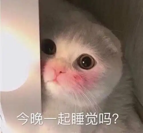 表情包沙雕表情包第八百三十三期
