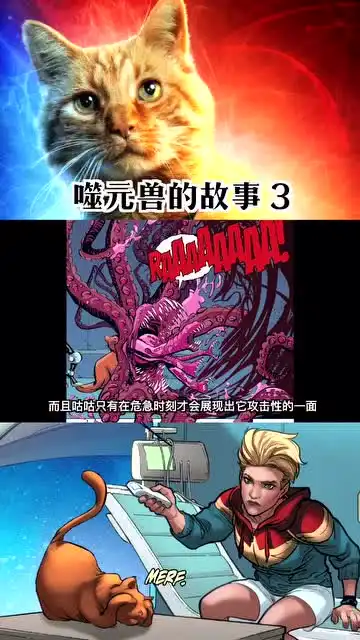 惊奇队长中那只橘猫的故事噬元兽
