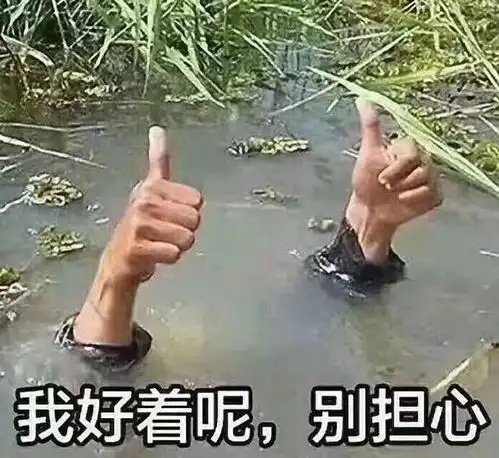 你认为最沙雕最搞笑的表情包是那些
