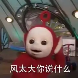 想对哈尔滨的风说一声
