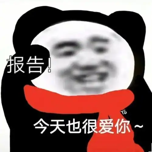 熊猫头表情包i女人就知道骗老实人
