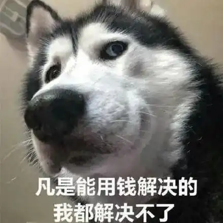掉落物五秒不捡就会爆炸的模式钻石都能把人炸飞
