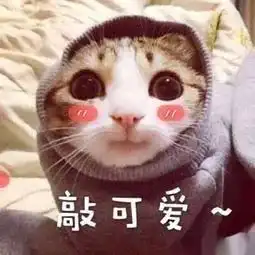 怎么买都对心意体面年货礼要趁早
