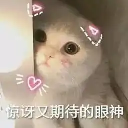 全程只有5站姜堰泰州新开一条公交线路......
