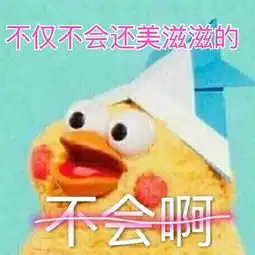 鹦鹉表情包
