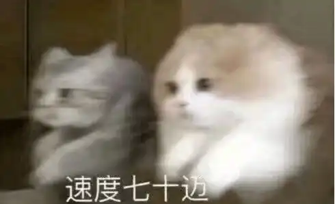 纳新严肃却并不严肃的新闻部招揽贤才ing

