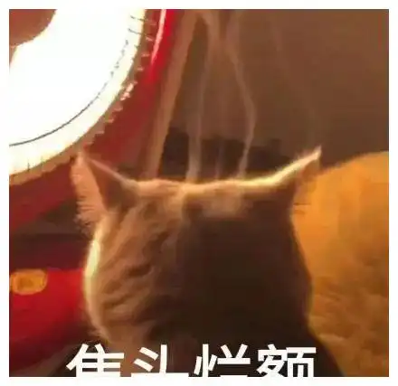 两开花熊猫头更新期末考试焦头烂额表情包
