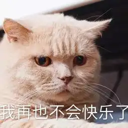 斗图日常喵咪可爱表情包

