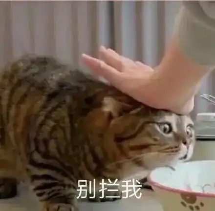 表情包还不哄我你自己看着办
