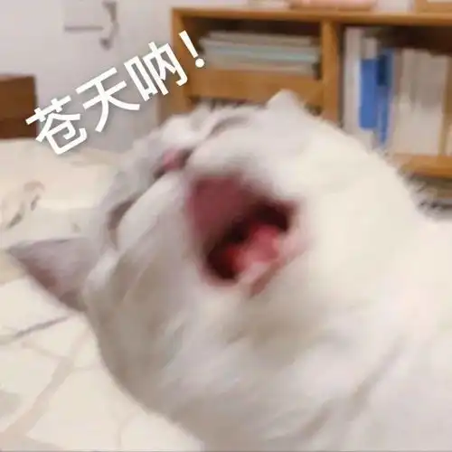 表情包图片大全你别这样我害怕
