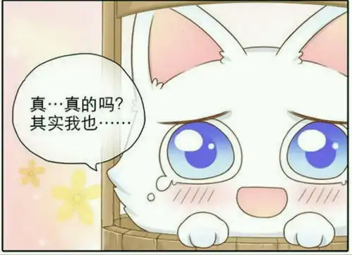 分享一波萌萌哒小狐狸的表情包萌图
