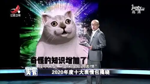 2020年度十大表情包揭晓
