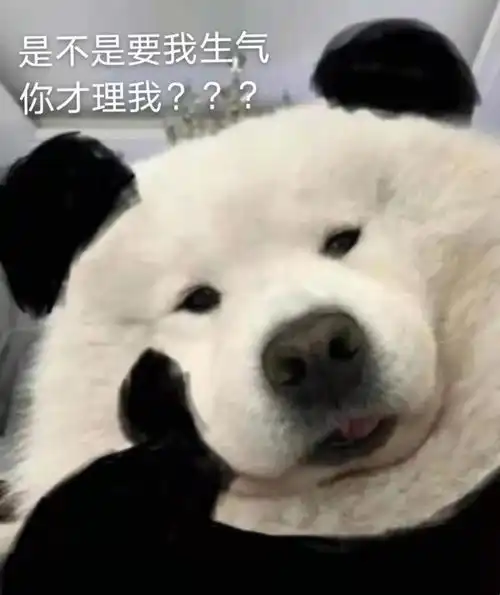 气死男朋友的表情包
