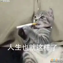 360度旋转熊猫头表情包图片小委屈我还受得了表情包下载乐游网游戏下载

