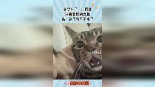 美女亲了一口猫咪,注意看猫的表情,猫完了我不干净了
