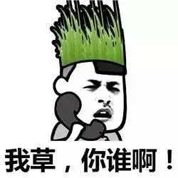 表情丨太阳和草的内涵对话动图变脸
