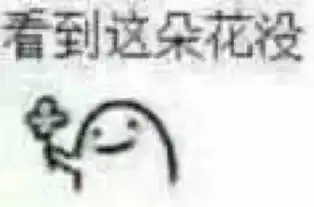 看到这朵花没
