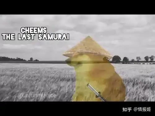 那只表情包里的废柴狗,如今是全世界肥宅的正义doge
