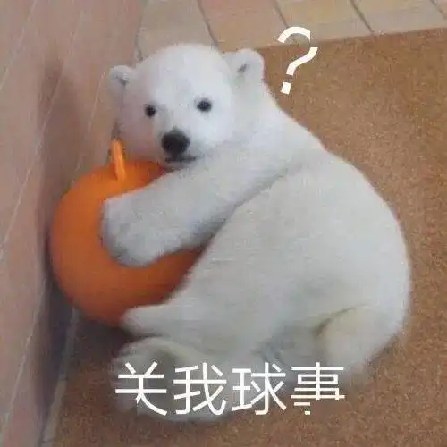 反正爱情不都是那样
