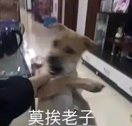 网传很玄的马应龙痔疮膏,真能消黑眼圈吗
