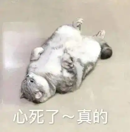沙雕表情包需要服务吗先生

