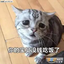 跟爸妈要钱的表情包找父母要钱的表情包下载乐游网手机下载站
