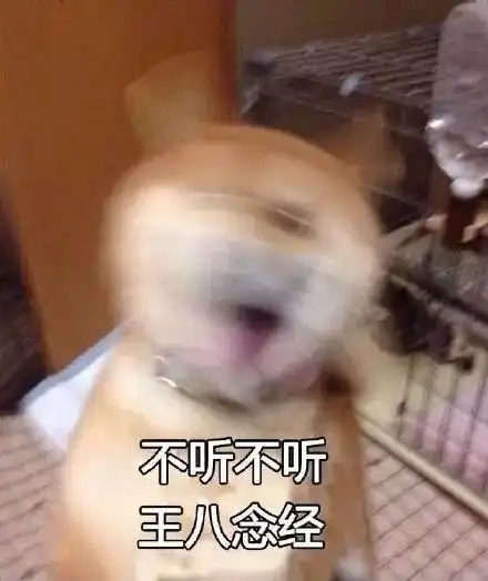 魔性狗子表情包全属精品
